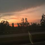 (Category: ) located in . Submitted by torivegaa (Listing ID 1459968360, Image 1). Description: .
