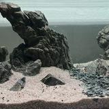 (Category: ) located in . Submitted by fishenthusiast (Listing ID 1366445463, Image 1). Description: .