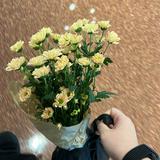 （分類：）位於 。 由 mavis0705 提交（商品編號 1309586817，圖片 1）。簡介： 。