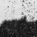 （分類：）位於 。 由 rain_nixo 提交（商品編號 1294938737，圖片 1）。簡介： 。