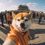 由 yao8606 (刊登 ID 1384528128，圖片 1) 提交，位於 的 (類別：)，說明：。