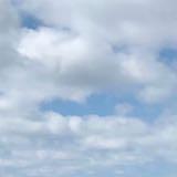 （分類：）位於 。 由 zenobo 提交（商品編號 1348479326，圖片 1）。簡介： 。