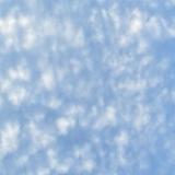（分類：）位於 。 由 jess0342 提交（商品編號 1338958338，圖片 1）。簡介： 。