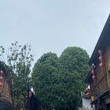（分類：）位於 。 由 jen9_9 提交（商品編號 1350146223，圖片 1）。簡介： 。