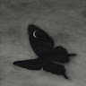(Category: ) located in . Submitted by asfymz (Listing ID 1470104064, Image 1). Description: .