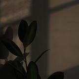 (Category: ) located in . Submitted by andreyliew (Listing ID 1432458465, Image 1). Description: .