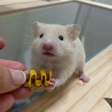 (分類:)位於 。 由 oskarskrr 提交(商品編號 1461162281,圖片 1)。簡介: 。