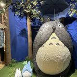（分類：）位於 。 由 winwingarfield 提交（商品編號 1382262789，圖片 1）。簡介： 。