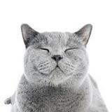 （分類：）位於 。 由 coco_melon1 提交（商品編號 1326758902，圖片 1）。簡介： 。