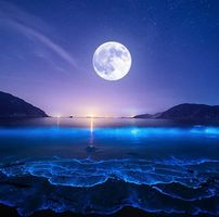 由 viwa022117462 (刊登 ID 1386367372，圖片 1) 提交，位於 的 (類別：)，說明：。