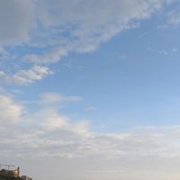 （分類：）位於 。 由 desal 提交（商品編號 1369408606，圖片 1）。簡介： 。