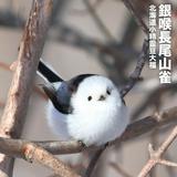 （分類：）位於 。 由 german1122 提交（商品編號 1385389109，圖片 1）。簡介： 。