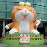 （分類：）位於 。 由 ps3604 提交（商品編號 1243199098，圖片 1）。簡介： 。