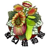 （分類：）位於 。 由 fantasyplanthk 提交（商品編號 1360927097，圖片 1）。簡介： 。