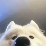 (Category: ) located in . Submitted by eeehehehehhe (Listing ID 1373012649, Image 1). Description: .