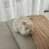 (Category: ) located in . Submitted by sellwhatjodycan (Listing ID 1381094078, Image 1). Description: .
