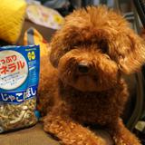 （分類：）位於 。 由 acegikn 提交（商品編號 1369231363，圖片 1）。簡介： 。