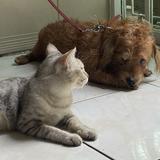 (Category: ) located in . Submitted by ja0111 (Listing ID 1258609520, Image 1). Description: .