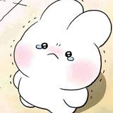 由 chihscc (刊登 ID 1328321500，圖片 1) 提交，位於 的 (類別：)，說明：。