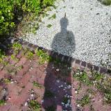 (Category: ) located in . Submitted by r._.ay (Listing ID 1338062561, Image 1). Description: .