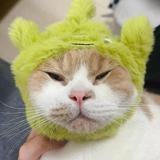 （分類：）位於 。 由 lesleygogreen 提交（商品編號 1251311277，圖片 1）。簡介： 。