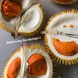 (Kategori: ) berada di . Dikirim oleh meeeeeeeeee. (ID iklan 1327932513, Gambar 1). Deskripsi: .