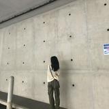 (Category: ) located in . Submitted by laurat4nn (Listing ID 1379742530, Image 1). Description: .