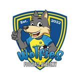 （分類：）位於 。 由 www.wolfiesfootballacademy.com 提交（商品編號 1344535136，圖片 1）。簡介： 。