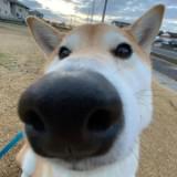 (分類:)位於 。 由 ckwkk63 提交(商品編號 1446823233,圖片 1)。簡介: 。
