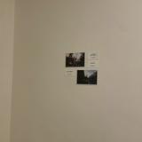 (Category: ) located in . Submitted by mydearfelt (Listing ID 1294683667, Image 1). Description: .