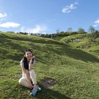 由 sheriwang (刊登 ID 1371054494，圖片 1) 提交，位於 的 (類別：)，說明：。