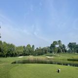 (Category: ) located in . Submitted by fansiongolf (Listing ID 1268971401, Image 1). Description: .