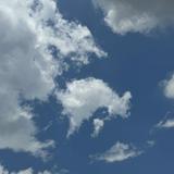 由 ooooo0815 (刊登 ID 1386106469，圖片 1) 提交，位於 的 (類別：)，說明：。