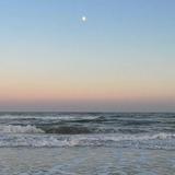 (Category: ) located in . Submitted by user0332680 (Listing ID 1346506447, Image 1). Description: .