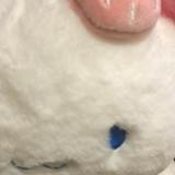 (Category: ) located in . Submitted by fartootees (Listing ID 1441353819, Image 1). Description: .