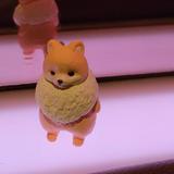由 annaaaaa___ (刊登 ID 1322122417，圖片 1) 提交，位於 的 (類別：)，說明：。