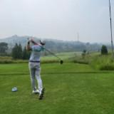 (Category: ) located in . Submitted by mandalorian08 (Listing ID 1248395455, Image 1). Description: .