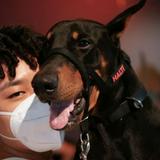 由 runtonorthandsouth (刊登 ID 1380236500，圖片 1) 提交，位於 的 (類別：)，說明：。