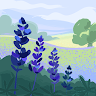(Category: ) located in . Submitted by veriyuan (Listing ID 1453178854, Image 1). Description: .