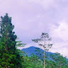 (Kategori: ) berada di . Dikirim oleh bagasrisya58592 (ID iklan 1327067918, Gambar 1). Deskripsi: .