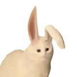 由 11001138 (刊登 ID 1362282842，圖片 1) 提交，位於 的 (類別：)，說明：。