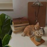 (Kategori: ) berada di . Dikirim oleh goodstuff24_ (ID iklan 1386649587, Gambar 1). Deskripsi: .