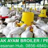 (Kategori: ) berada di . Dikirim oleh ptberkahalam (ID iklan 1254317214, Gambar 1). Deskripsi: .