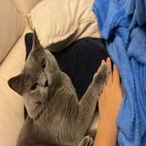 (Category: ) located in . Submitted by emmeline.veen (Listing ID 1309092773, Image 1). Description: .