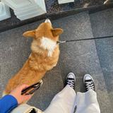 (Category: ) located in . Submitted by chichuachua (Listing ID 1056056688, Image 1). Description: .
