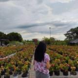 (Category: ) located in . Submitted by klaaaaaaaa (Listing ID 1335954975, Image 1). Description: .