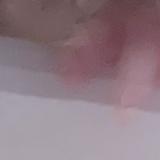 （分類：）位於 。 由 gsd5mm5jtg06531 提交（商品編號 1383845812，圖片 1）。簡介： 。
