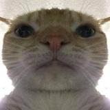 （分類：）位於 。 由 s_tunggg 提交（商品編號 1381744088，圖片 1）。簡介： 。