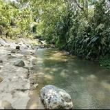 (Category: ) located in . Submitted by alangwanie (Listing ID 1380342446, Image 1). Description: .