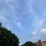 由 mmkkoop (刊登 ID 1322035614，圖片 1) 提交，位於 的 (類別：)，說明：。